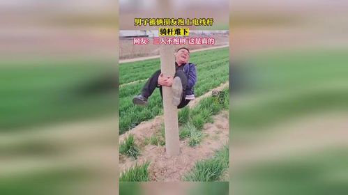 抱树网络的含义与应用场景