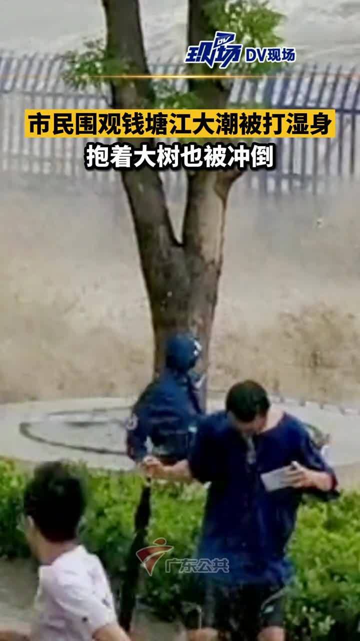 暴雨中的生命守护者:市民抱树自救实录