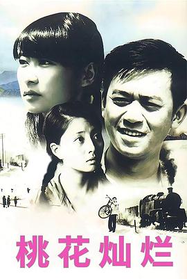 桃花灿烂(2007)电视剧全21集