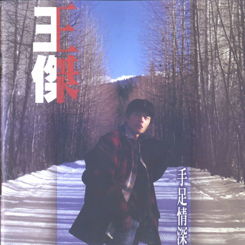 孤独的飞歌词-王杰