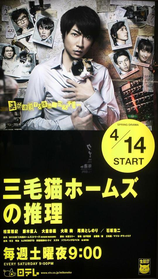 三花猫福尔摩斯的推理电视剧全11集