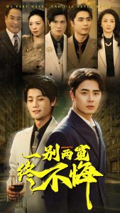 一别两宽终不悔短剧全63集