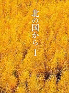 北国之恋电视剧全24集