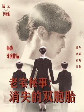 老宅秘事消失的双胞胎 消失的孩子短剧全90集