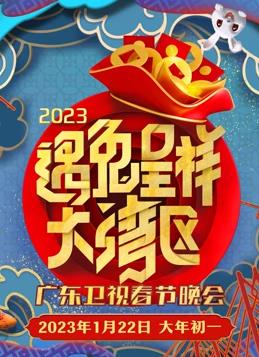 2023广东春节联欢晚会综艺HD国语