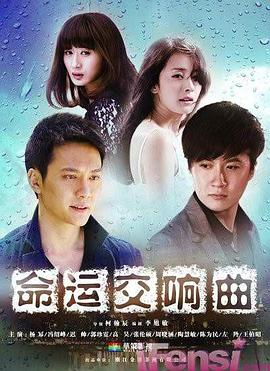 命运交响曲电视剧全30集