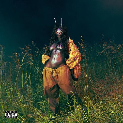 Saturn歌词-SZA
