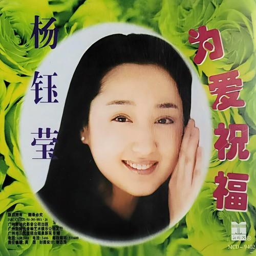 元宵夜歌词-杨钰莹