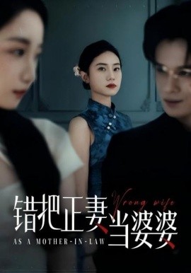 错把正妻当婆婆短剧全46集