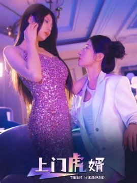 上门虎婿短剧全96集