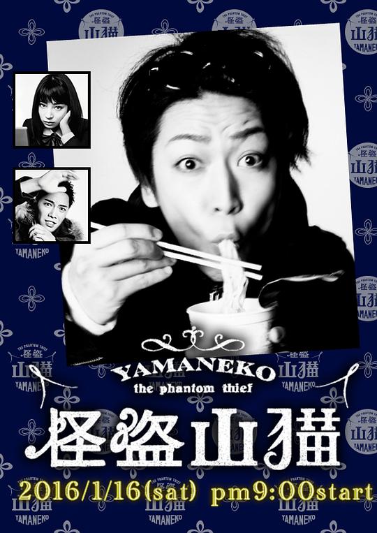 怪盗山猫电视剧全10集