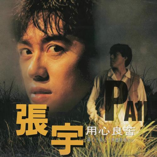 后悔歌词-张宇