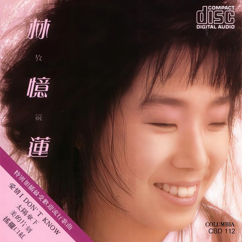长街的一角歌词-林忆莲