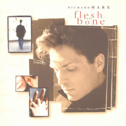 Too Shy To Say歌词-Richard Marx