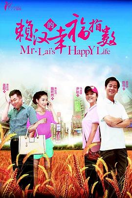 赖汉的幸福指数电视剧全34集