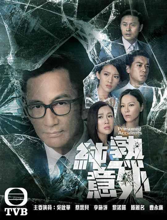 纯熟意外电视剧全28集