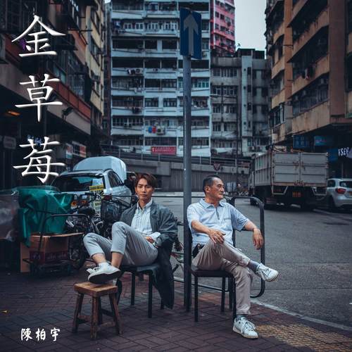 金草莓歌词-陈柏宇