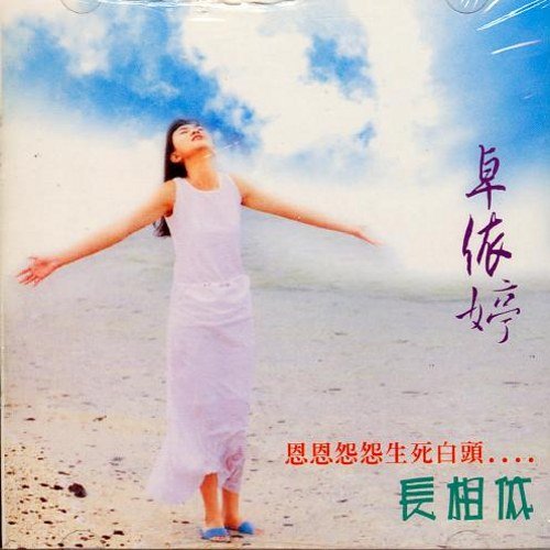 风中有朵雨做的云歌词-卓依婷