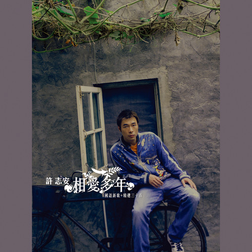 了不起歌词-许志安