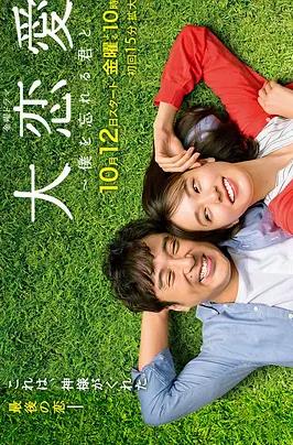 大恋爱：与将我忘记的你电视剧全10集