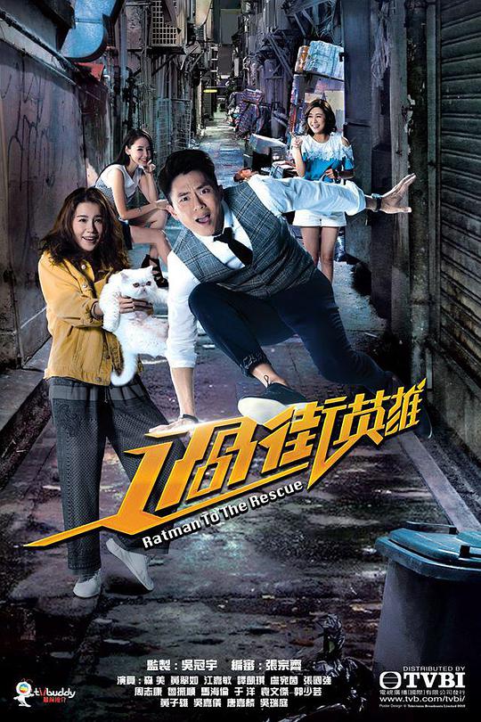 过街英雄电视剧全20集