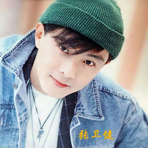 诱惑我的心歌词-张卫健