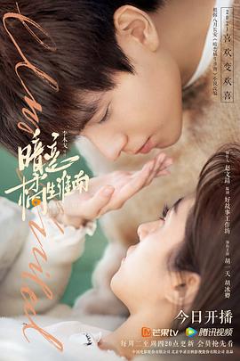暗恋·橘生淮南电视剧全38集