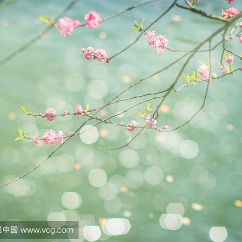 桃花诺-桃花诺歌词-浮生梦