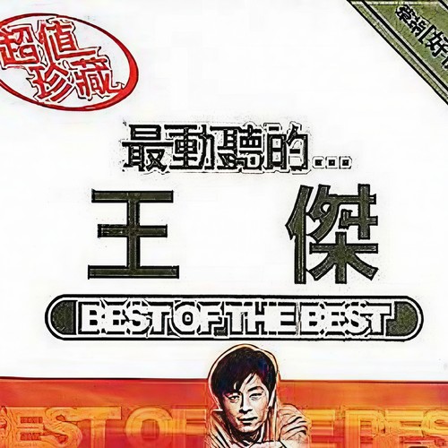 忘了你 忘了我歌词-王杰