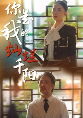 你是我的灿烂千阳短剧全61集