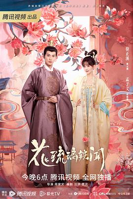 花琉璃轶闻电视剧全24集