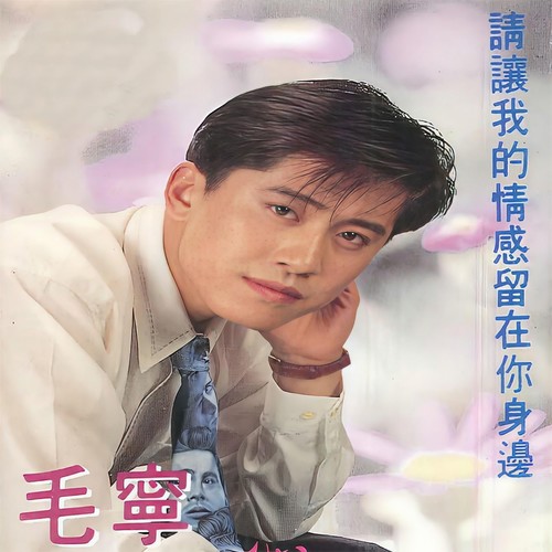 你我都没有错歌词-杨钰莹 / 毛宁