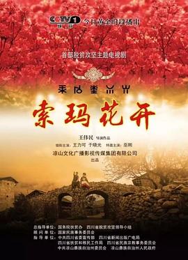 索玛花开电视剧全32集