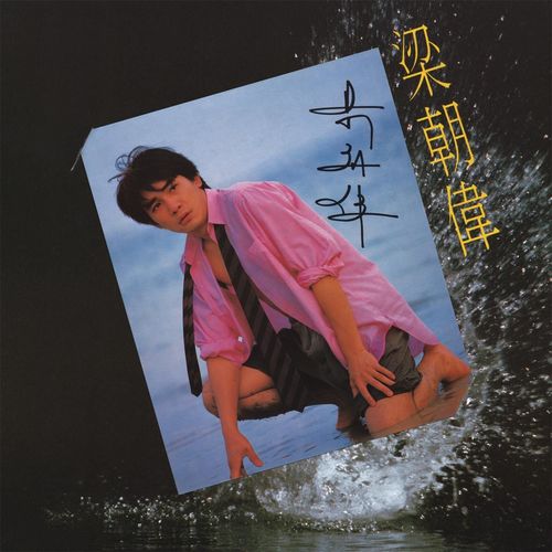 疯狂摇摆乐歌词-梁朝伟