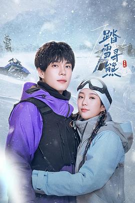踏雪寻熊电视剧全24集