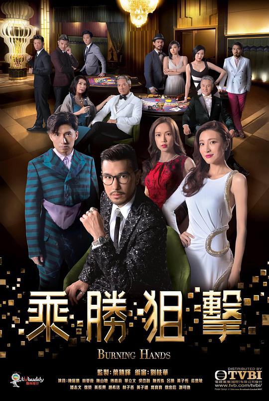 乘胜狙击电视剧全28集