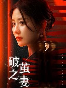 破茧之妻 婚姻的救赎短剧全46集