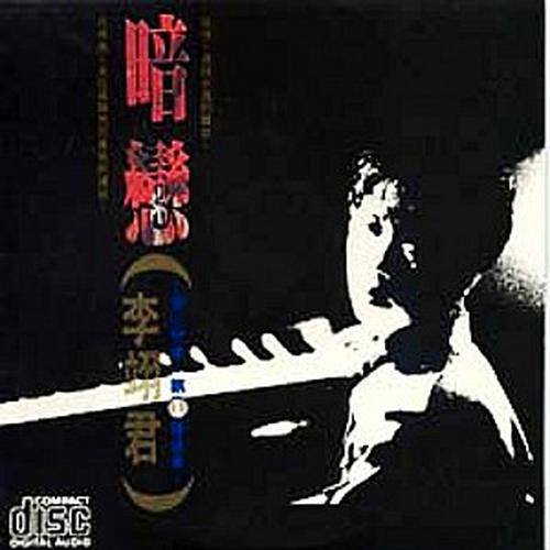 用什么感觉来写你歌词-李翊君