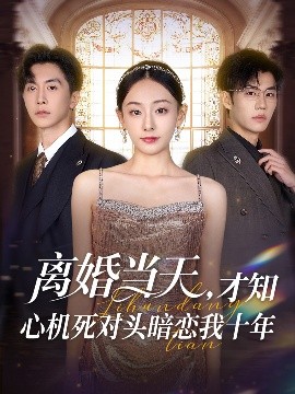 离婚当天才知心机死对头暗恋我十年短剧全90集