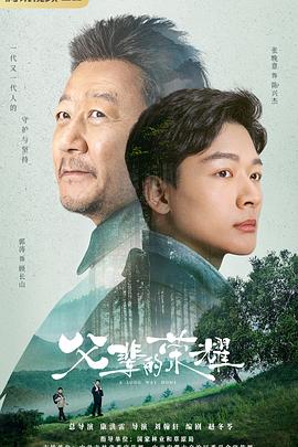父辈的荣耀电视剧全30集