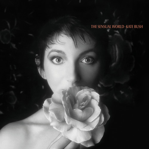 Rocket's Tail (2018 Remaster)歌词-Kate Bush