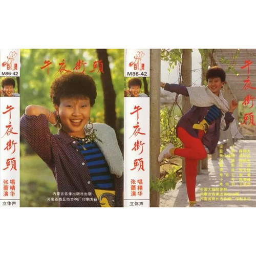 单身汉歌词-张蔷