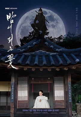 夜晚开的花电视剧全12集