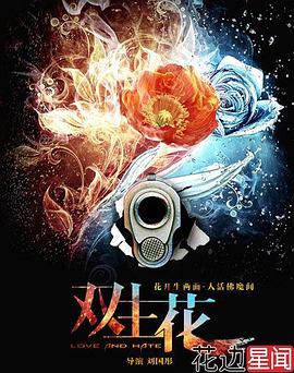 双生花电视剧全26集