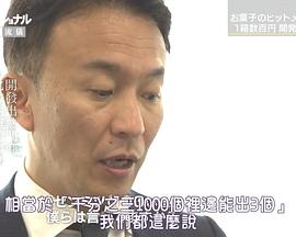 Professional-职业人的作风 零食开发人 小林正典电影正片