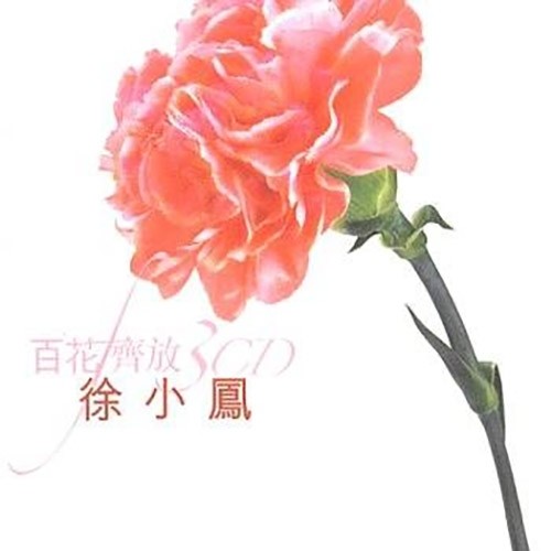 错爱也是爱歌词-徐小凤