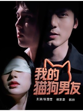 我的猫狗男友短剧全53集