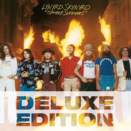 I Never Dreamed (Criteria Studios Original Album Version)歌词-Lynyrd Skynyrd