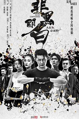 非黑即白电视剧全12集