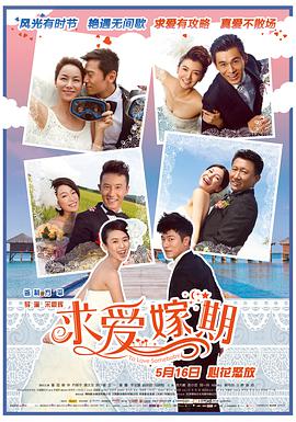 求爱嫁期电影HD国语版